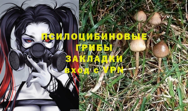 СК Абаза