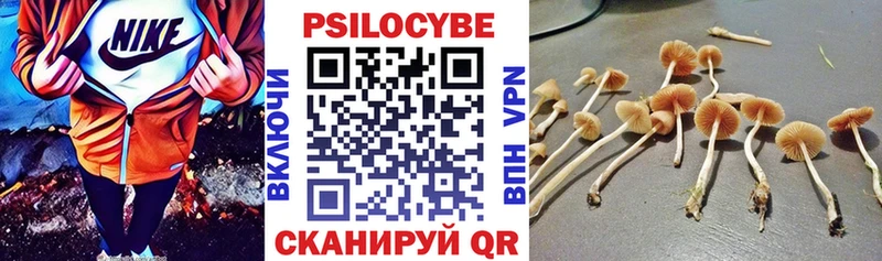 Псилоцибиновые грибы прущие грибы  Ялуторовск 
